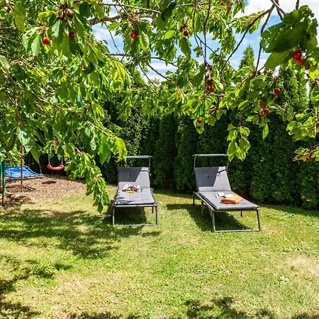 Hébergement de vacances Ferienblockhaus Glocker - Hof Leibertingen